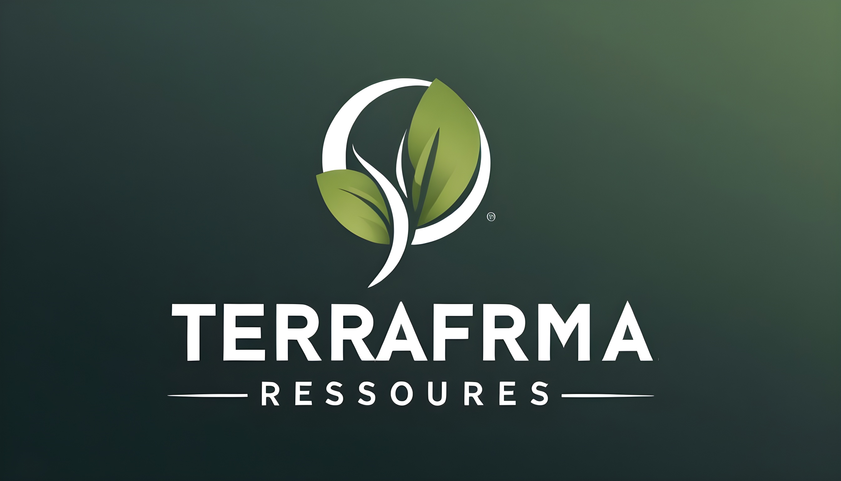 TerraFirma Resources  